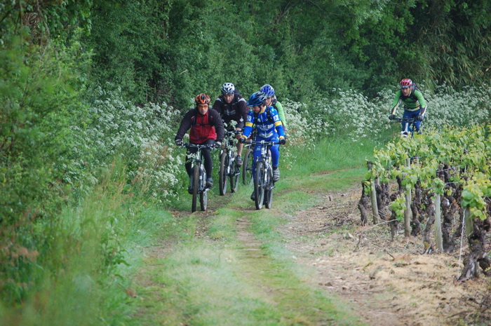 VTT 3