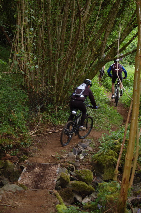 VTT 4