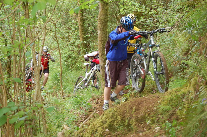 VTT 5