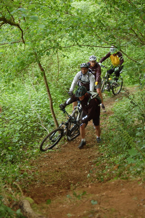 VTT 6