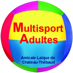 Logo Multisports adultes